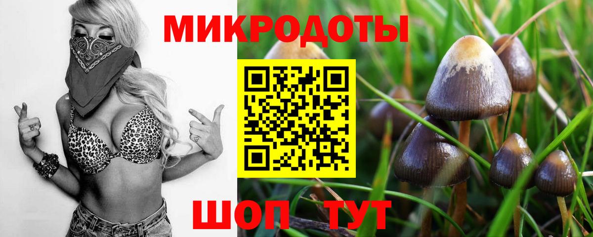 цены   Псилоцибиновые грибы мухоморы  Заречный  Вход с VPN  Псилоцибиновые грибы MAGIC MUSHROOMS 